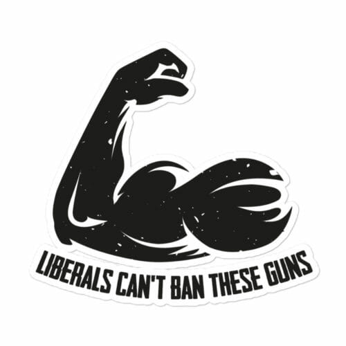 LIBERALS CAN'T BAN THESE GUNS STICKER - Image 2